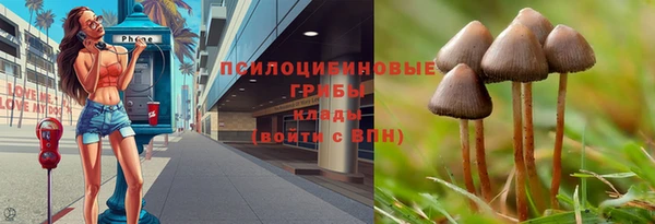 круглые Аркадак