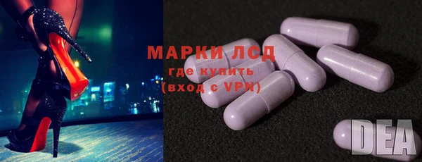 хмурый Арсеньев