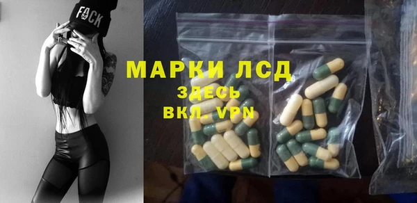 хмурый Арсеньев
