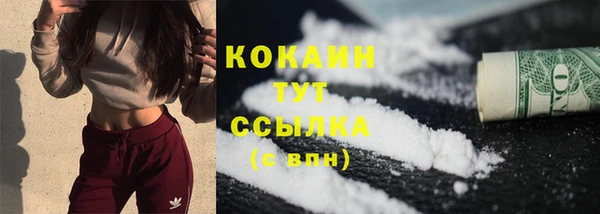 хмурый Арсеньев