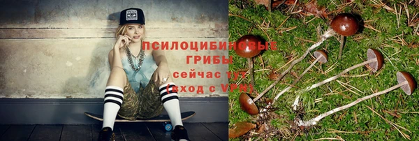 винт Алзамай