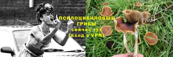 винт Алзамай