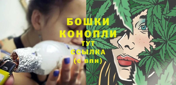 хмурый Арсеньев